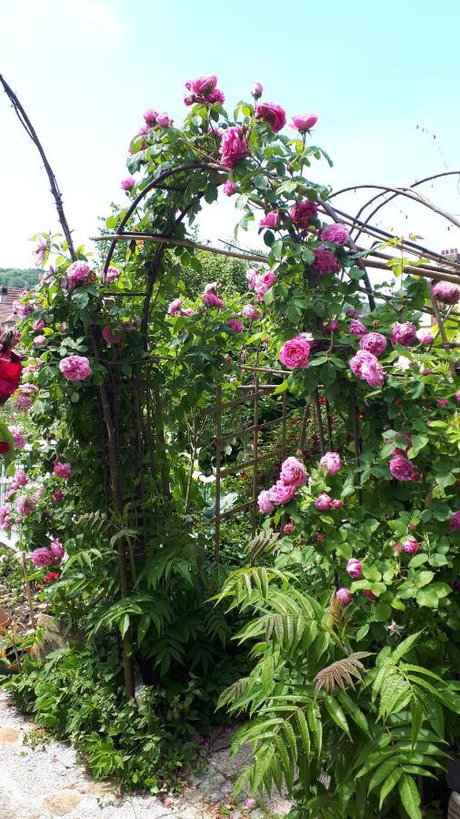 Le Jardin Des Merveilles Saint-Pierre-d'Autils Экстерьер фото